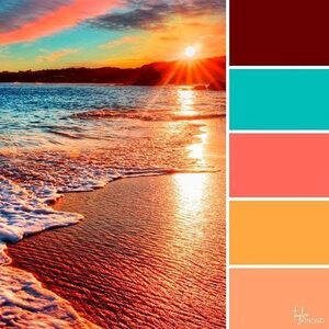 Team Page: Color the Coast